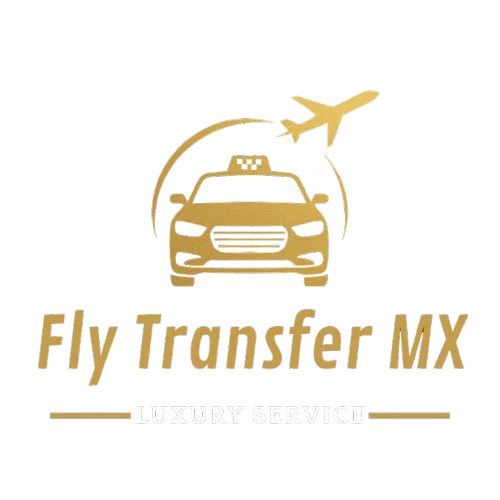 Flytransfermx logo